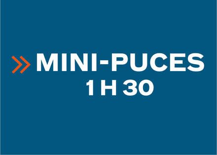 Mini-Puces - Saturday 10:45