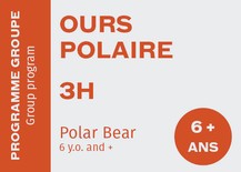 Ours Polaire 6+ - Dimanche 9:00