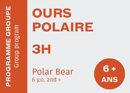 Polar Bear 6+ - Saturday 9:00