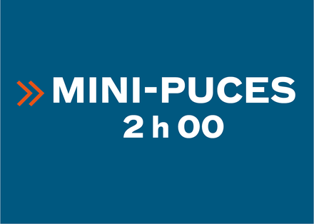 Mini-Puces - Sunday 8:30