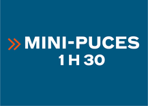 Mini-Puces - Saturday 10:45