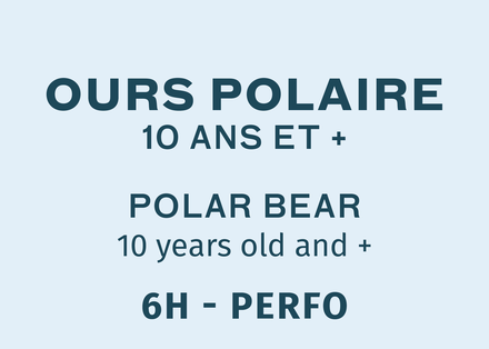 Ours Polaire Perfo - Samedi et Dimanche 9:00