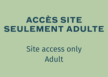 Accès journalier site seulement - Adulte