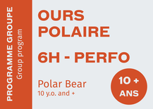 Ours Polaire Perfo - Samedi et Dimanche 9:00