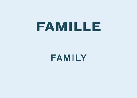 Abonnement Illimitée Maximum Famille 2025-26