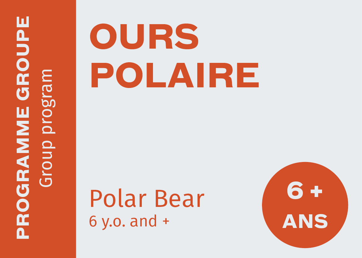 Polar Bear - 6+ y.o.