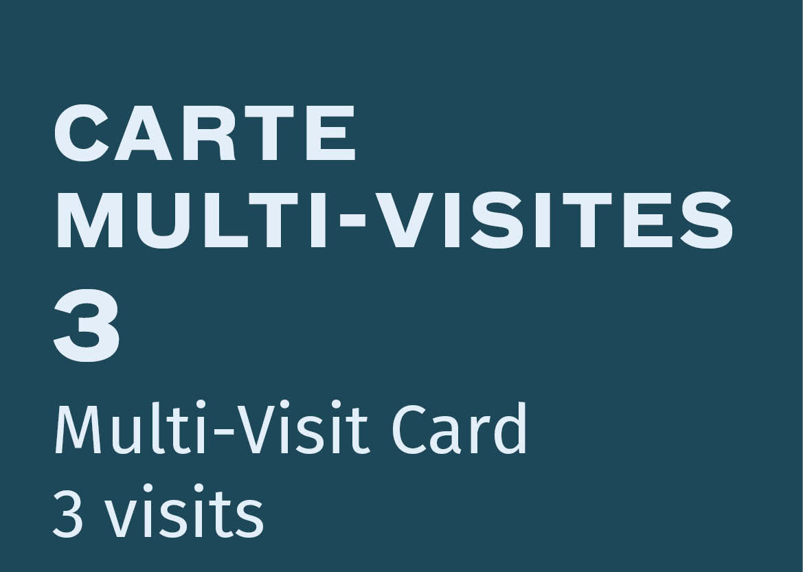 Carte Multi-Visites - 3 jours