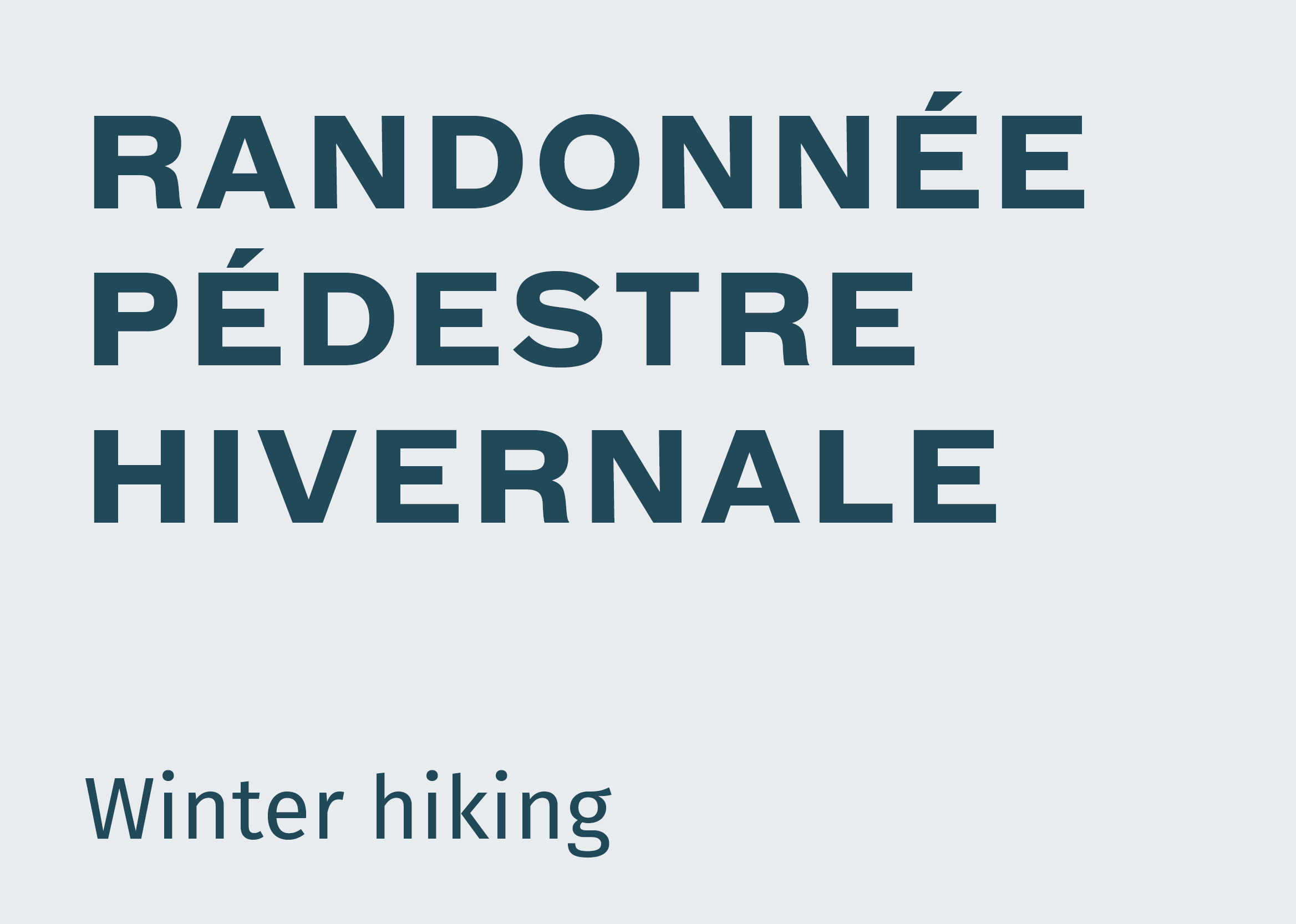 Randonnée pédestre hivernale