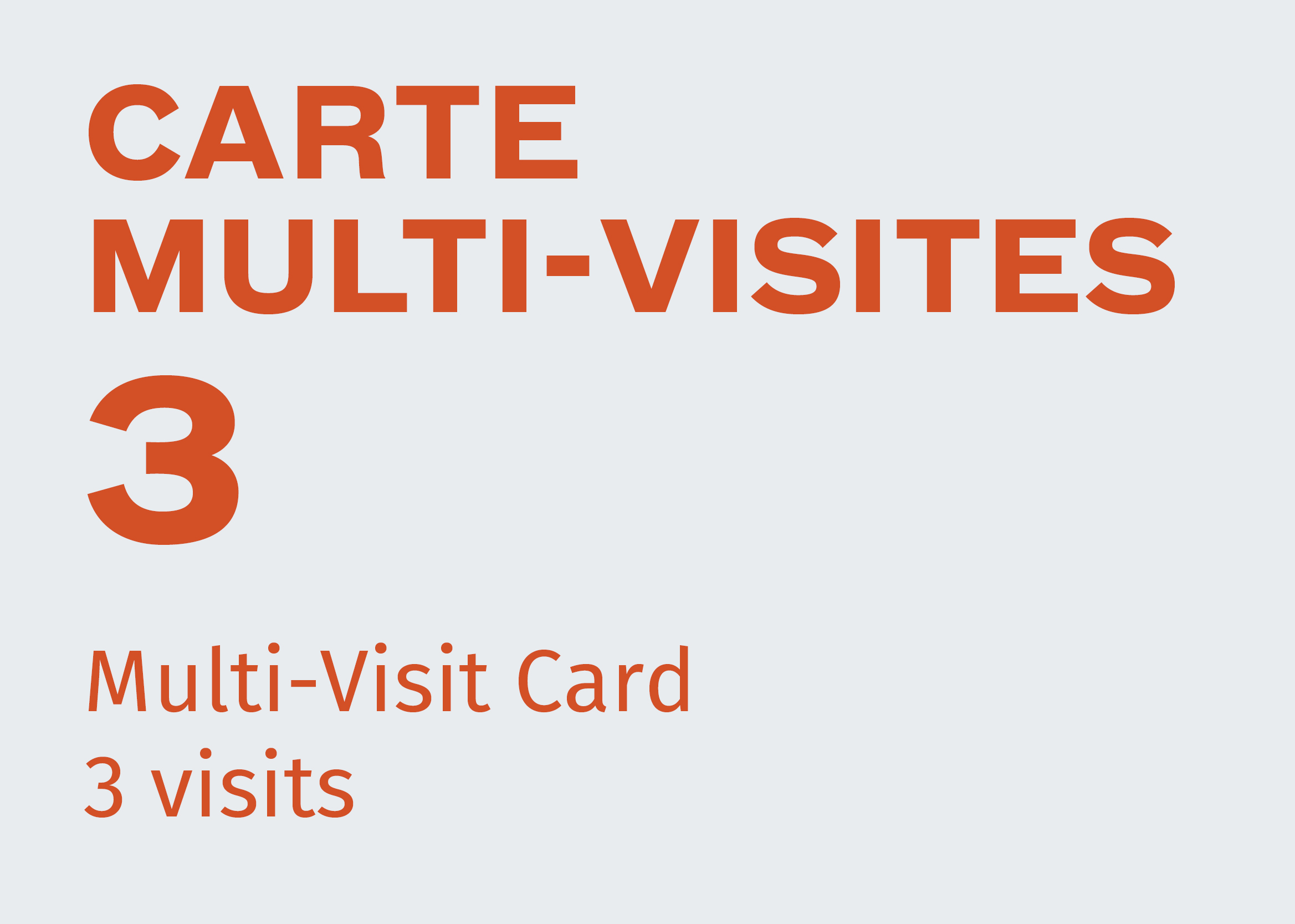 Carte Multi-Visites - 3 jours